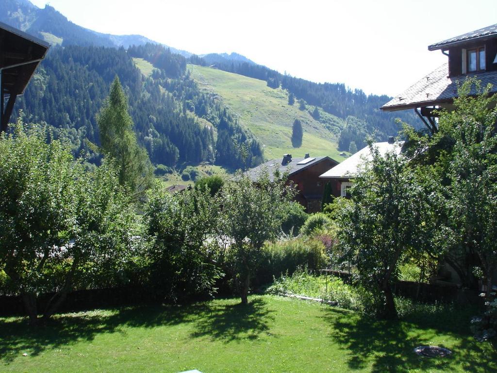 La Ferme Du Chateau Abondance Kültér fotó
